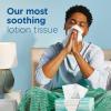 imagePuffs Plus Lotion Facial Tissues 10 Cubes 56 Tissues Per Box48 Count Pack of 4