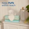 imagePuffs Plus Lotion Facial Tissues 8 Family Boxes 124 Facial Tissues per Box Allergies and Colds124 Count Pack of 8